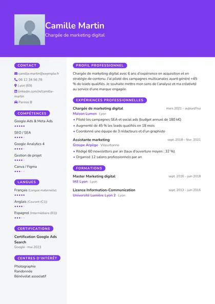 Aperçu du modèle de CV Envol (CV Débutants)