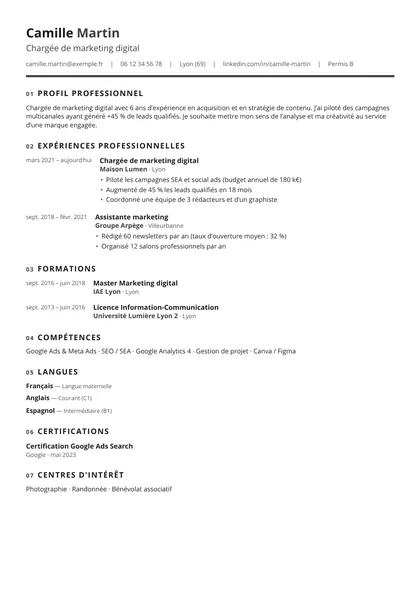 Aperçu du modèle de CV Kaléidoscope (CV ATS Friendly)