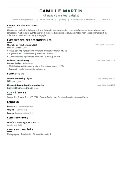 Aperçu du modèle de CV Mosaïque (CV ATS Friendly)
