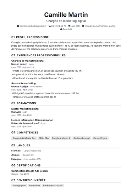Aperçu du modèle de CV Velours (CV Minimalistes)