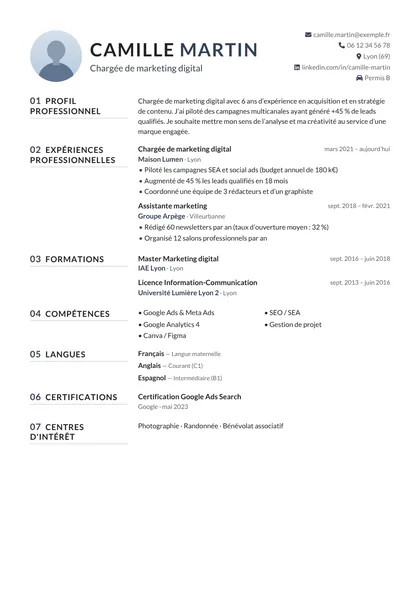 Aperçu du modèle de CV Zénith (CV Professionnels)